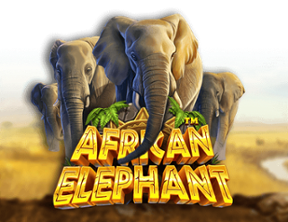 African Elephant slot online